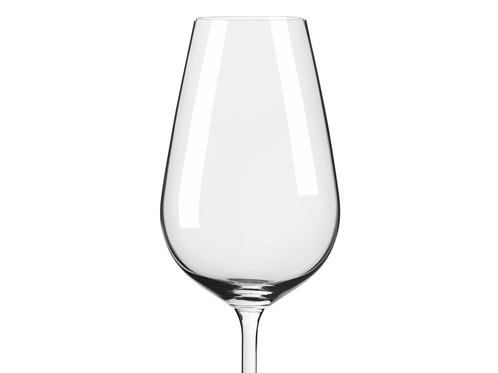 RITZENHOFF Glanzlicht Weinglas / Champagnerglas 12er Set H24 Freisteller 5