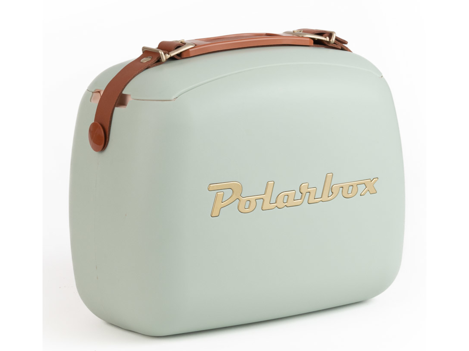 Polarbox Gold Matcha 6l Freisteller 2