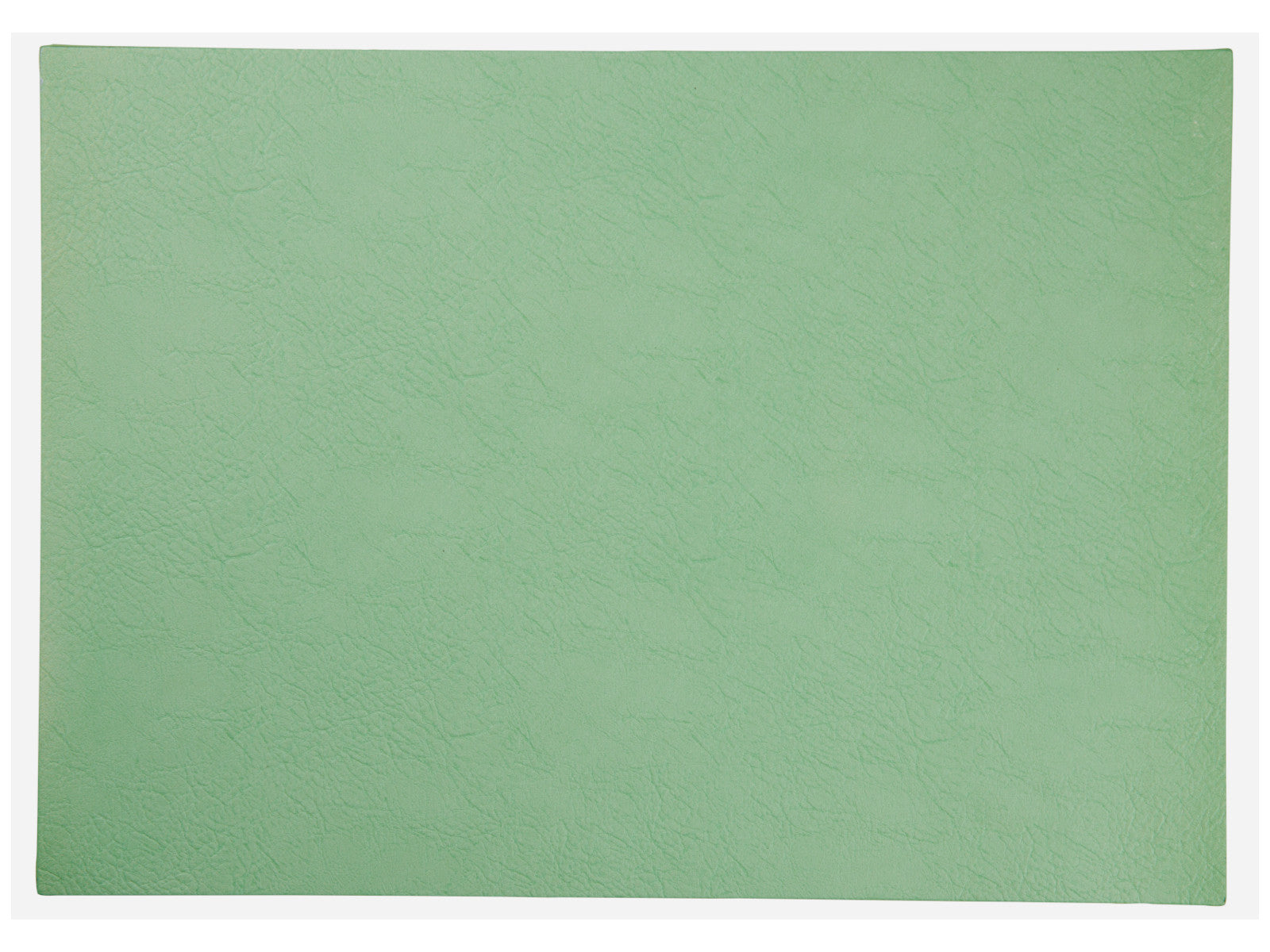 ASA vegan leather Tischset basil 46x33cm Freisteller 