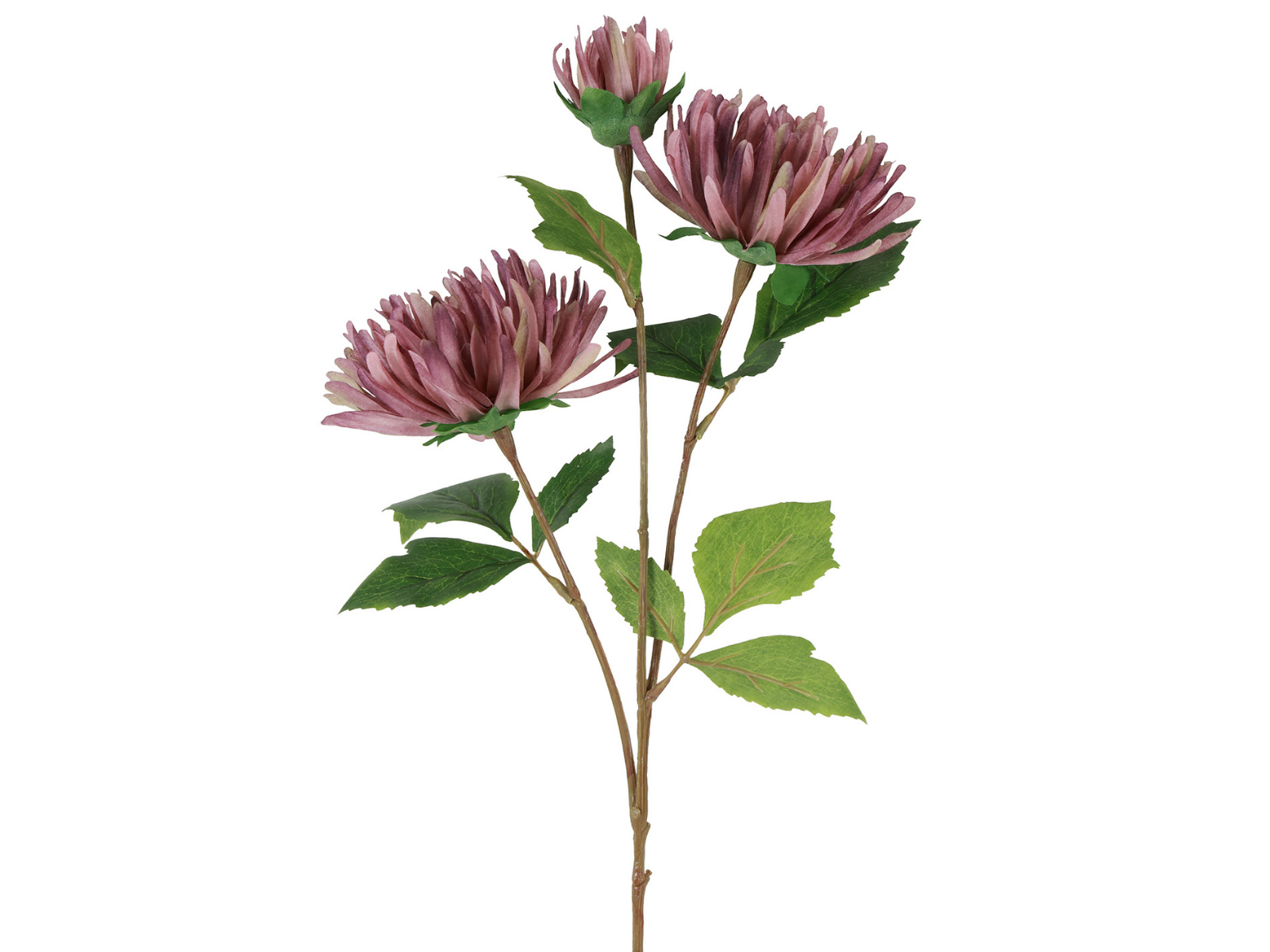 Decostar Blume verzweigt Chrysanthemum Vienna purpur 73cm - Produktbild 1