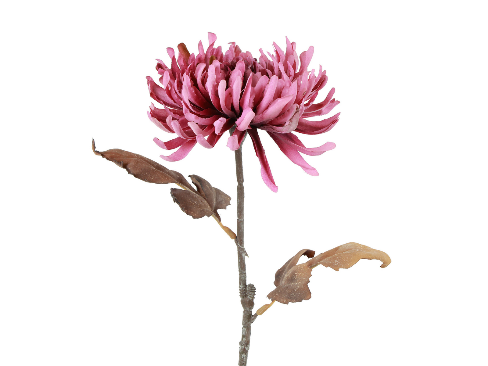 Decostar Blume Chrysanthemum spider lila 65cm