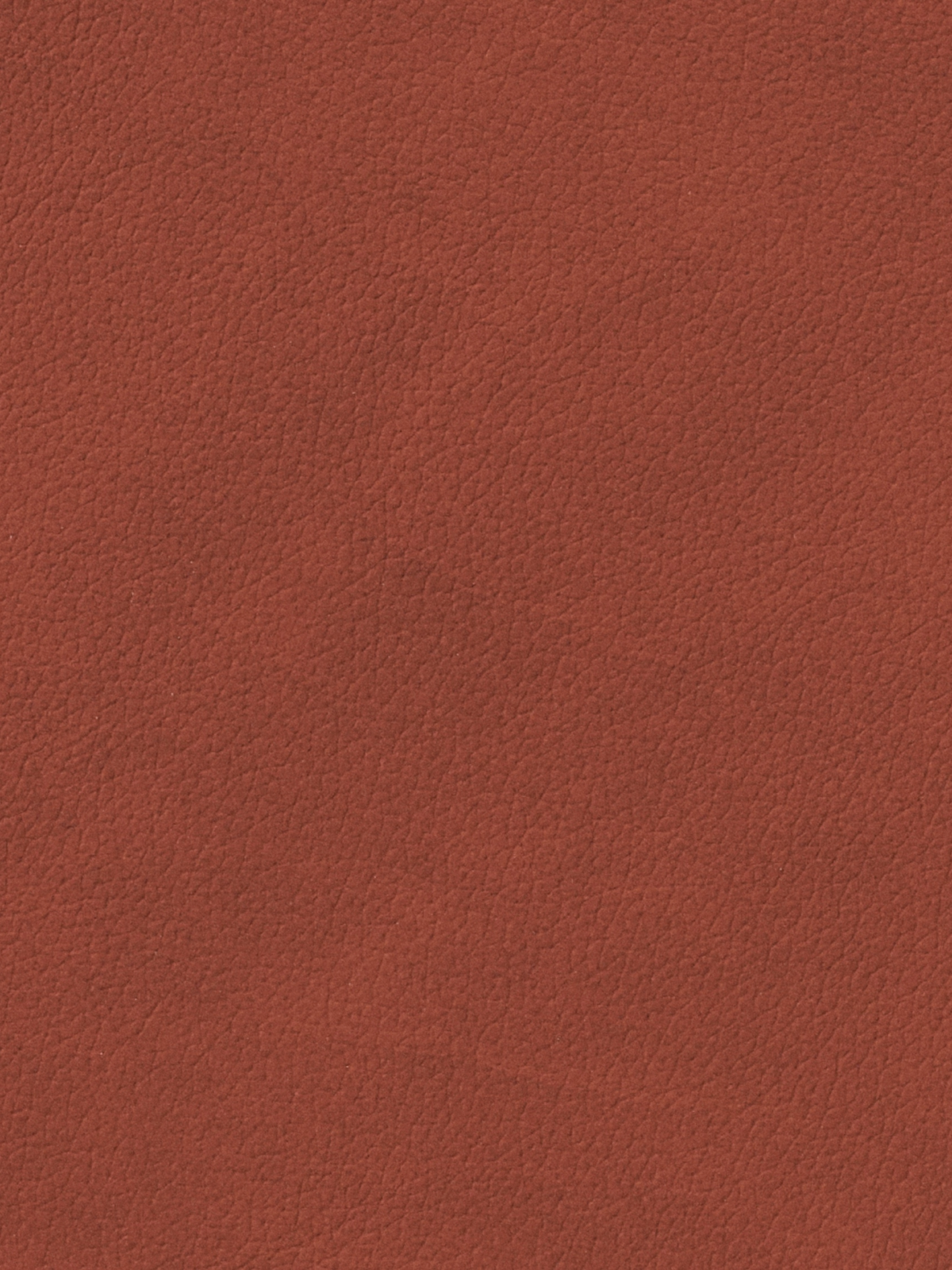 LIND DNA Nupo Untersetzer Curve sienna 11 x 13cm Freisteller 4