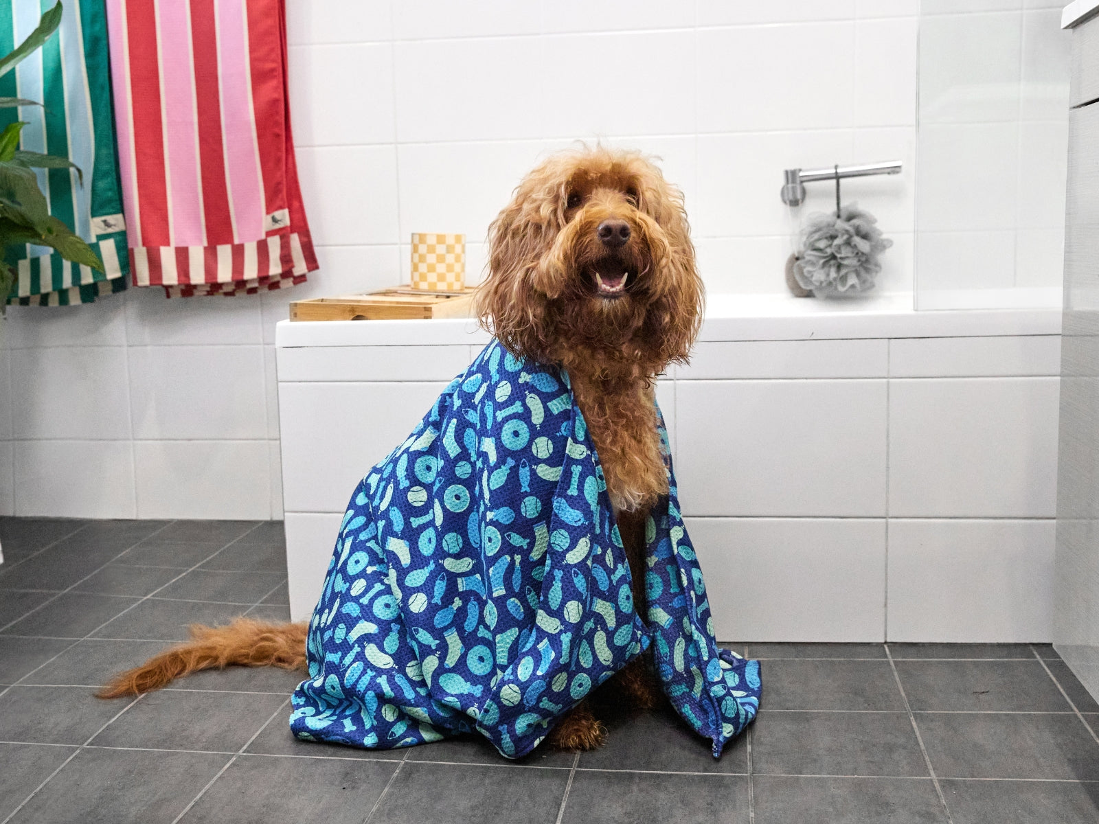 Dock & Bay Hundehandtuch L A Dogs Dinner 120x70cm - Produktbild 8