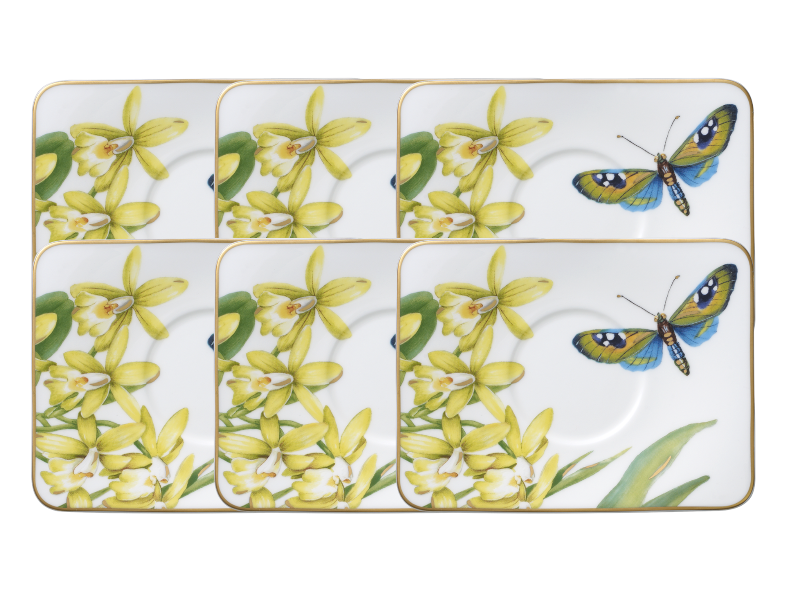 Villeroy & Boch Amazonia Mokka-/Espressountertasse 11 cm Set6