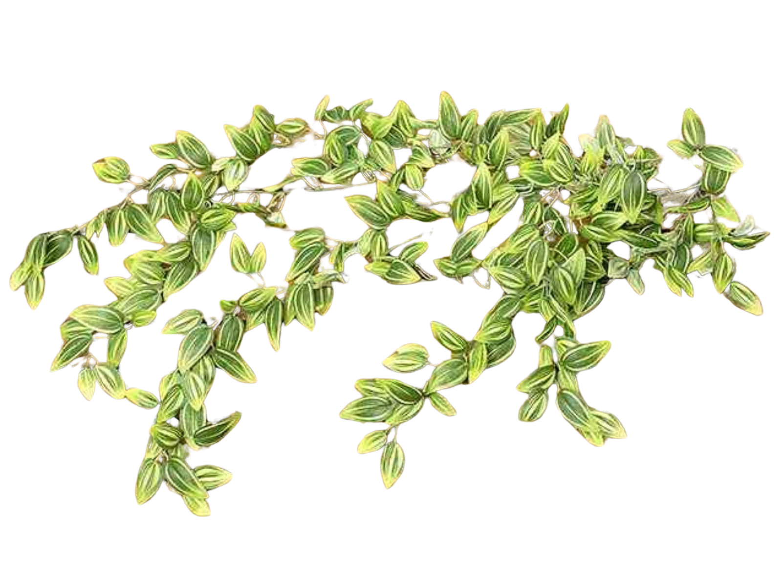 Boltze Zitronenblatt Zweig 84 cm (7531900) Freisteller