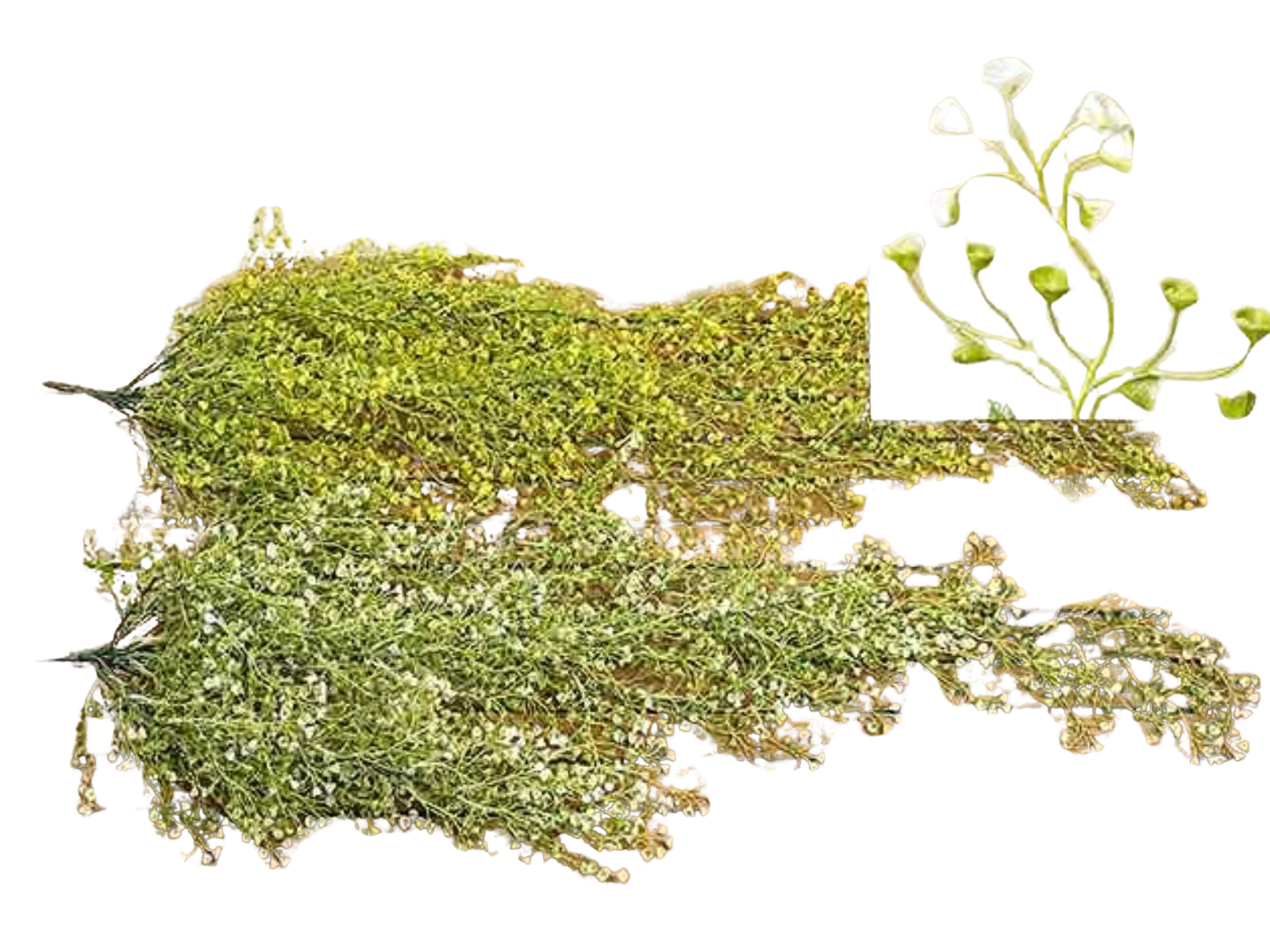 Boltze Zweig sortiert 119 cm (8294800) Freisteller