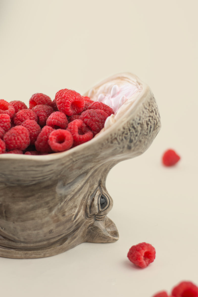 Donkey Products Hungry Hippos Schale grau 14cm Lifestyle 6