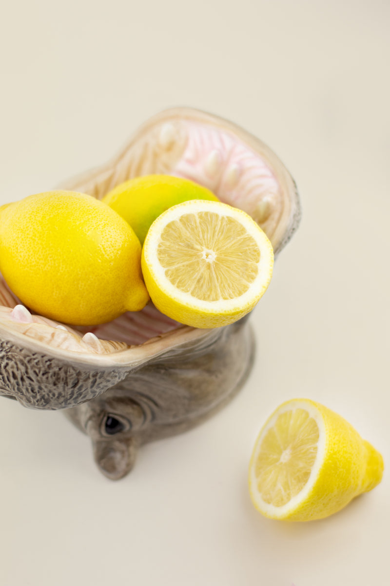 Donkey Products Hungry Hippos Schale grau 14cm Lifestyle 5