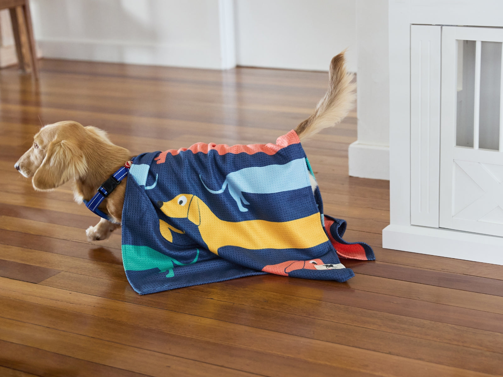 Dock & Bay Hundehandtuch L Go Long 120x70cm - Produktbild 12