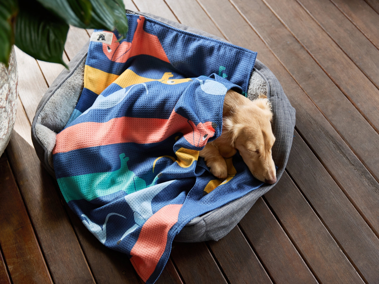 Dock & Bay Hundehandtuch M Go Long 90x50cm - Produktbild 13
