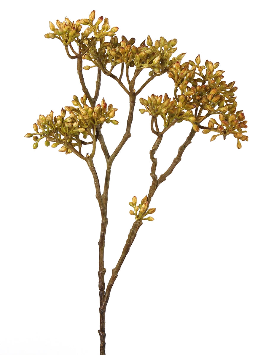 Decostar Claris Baldrian Pflanze hellgrün