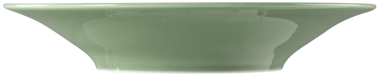 Seltmann Weiden Beat Salbeigrün uni Suppenteller rund 22,5 cm