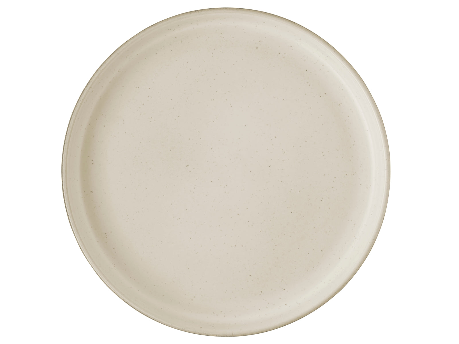 Rosenthal Joyn Stoneware Ash Gourmetteller 26 cm Freisteller 2