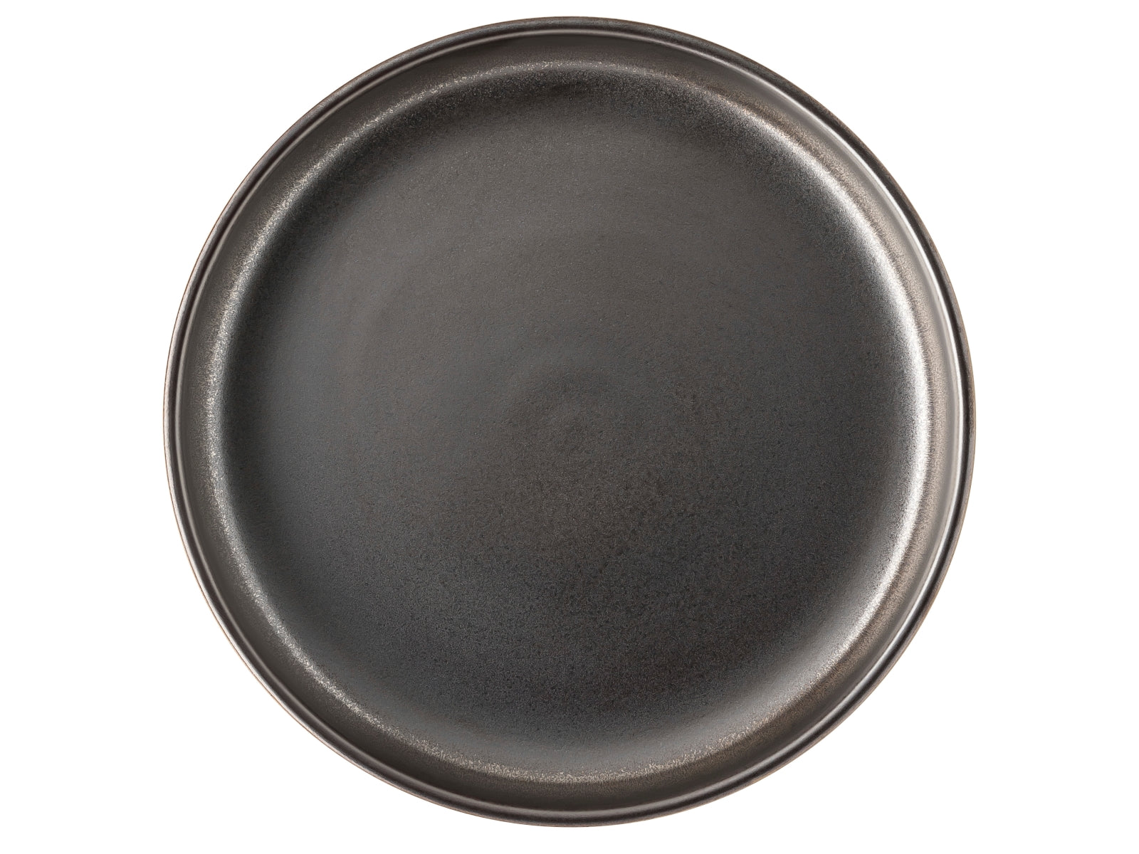 Rosenthal Joyn Stoneware Iron Gourmetteller 20 cm Freisteller 2