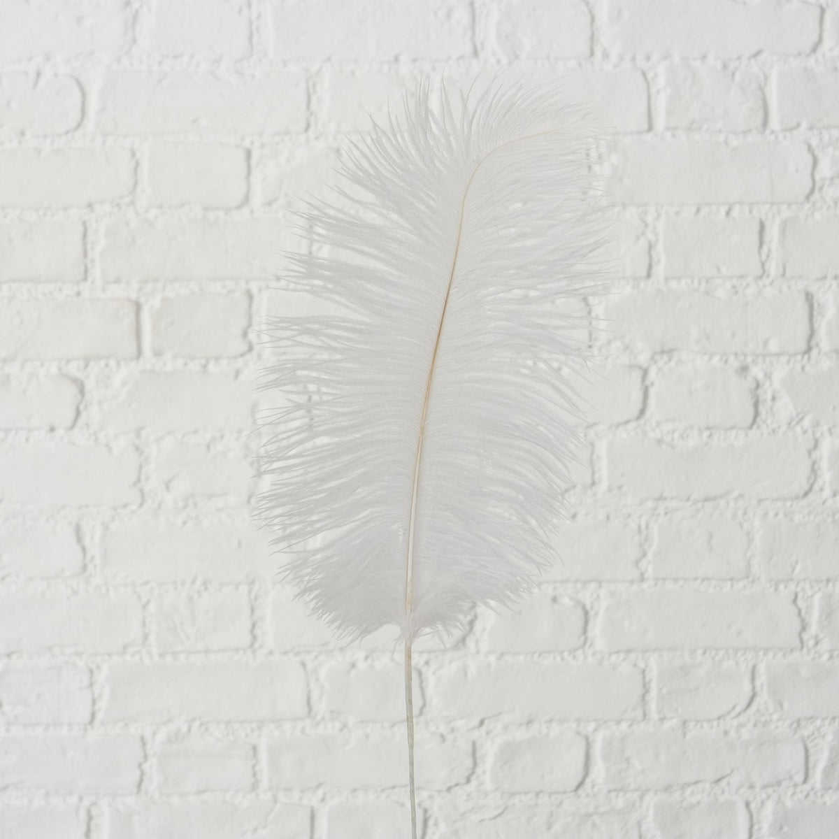 Boltze Plumia Feder Eisen sortiert 60 cm 1 Stück