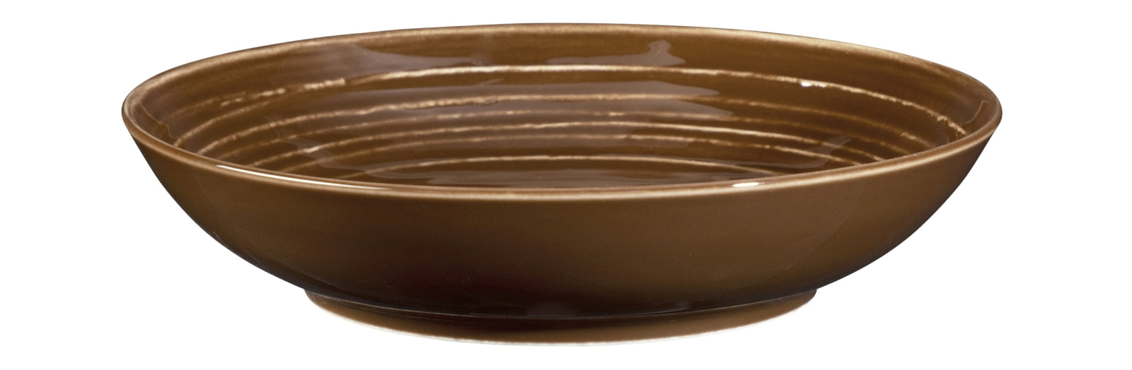 Seltmann Weiden Terra Erdbraun uni Suppenteller rund 21 cm