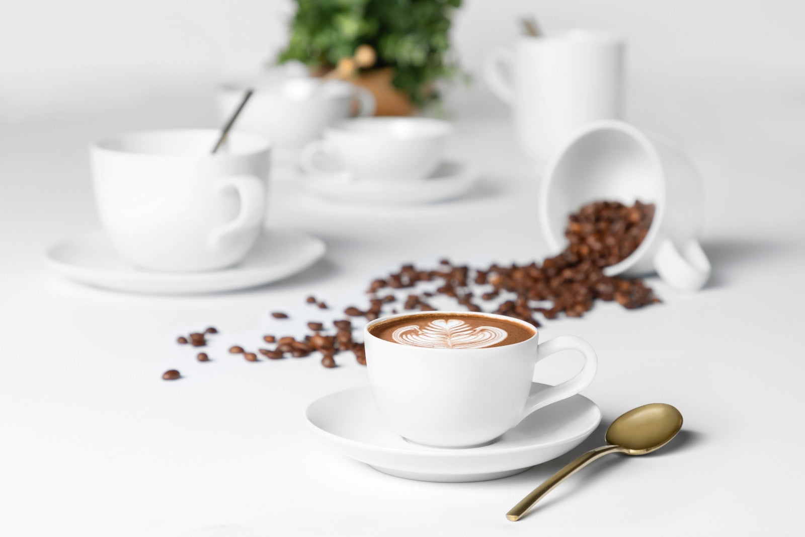 Seltmann Weiden Liberty weiss uni  Kaffeeservice 18-teilig