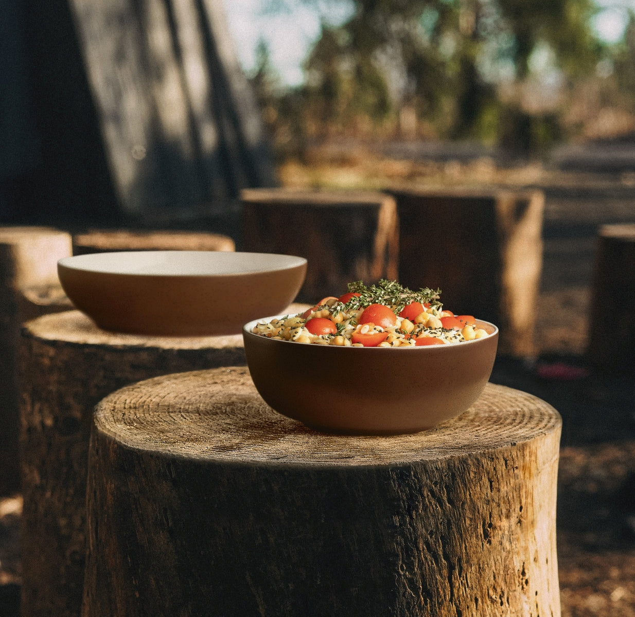 Seltmann Weiden Liberty Bronze Foodbowl 17,5 cm