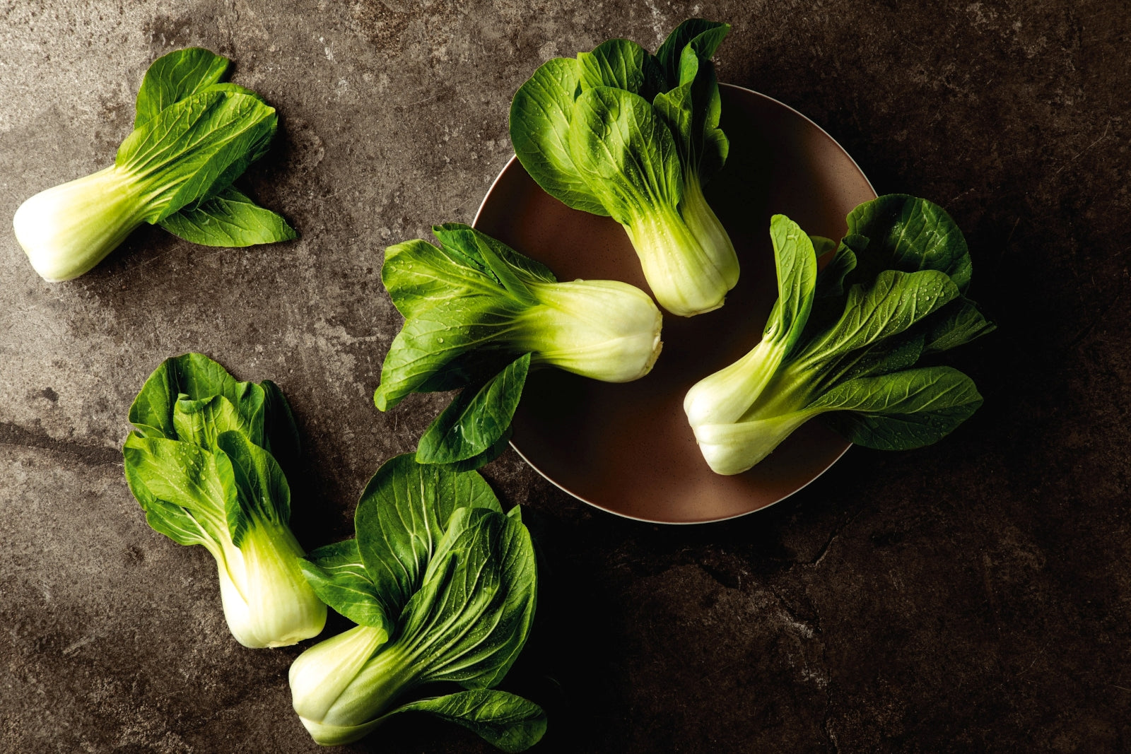 Seltmann Weiden Liberty Bronze Foodbowl 25 cm