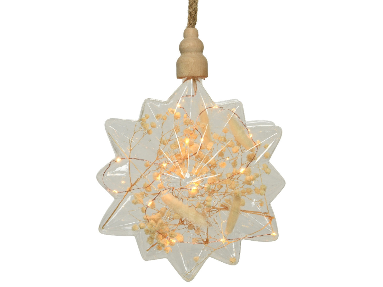 Lumineo Micro LED Stern transparent 25 cm Freisteller 1