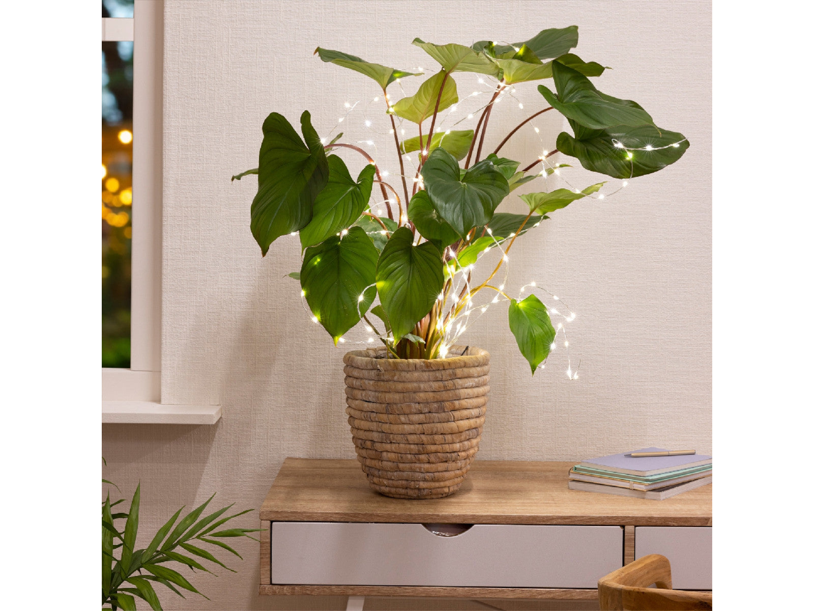 Lumineo Micro LED-Beleuchtung silber 80 cm Lifestyle 1