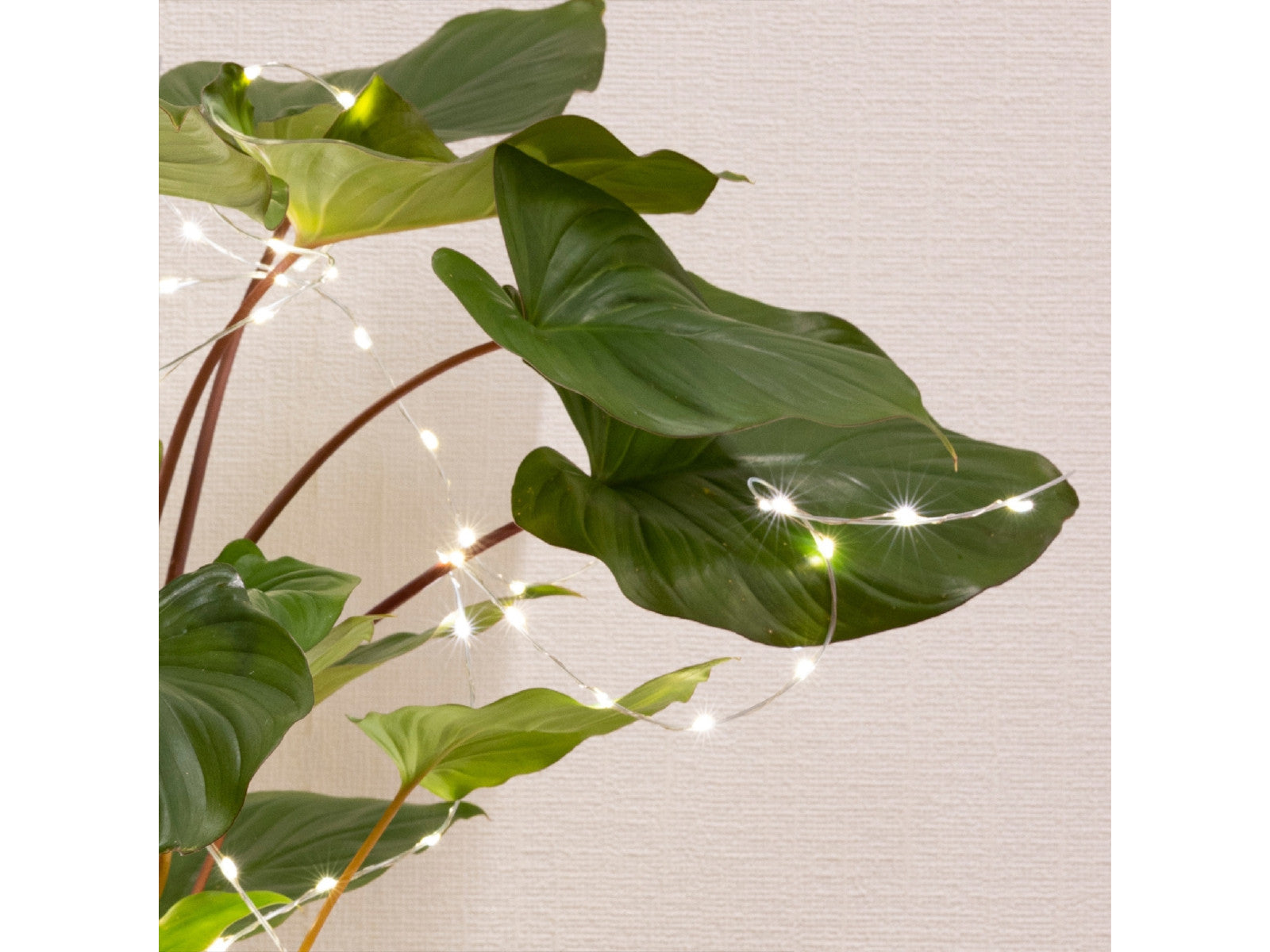 Lumineo Micro LED-Beleuchtung silber 80 cm Lifestyle 2