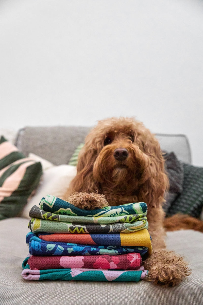Dock & Bay Hundehandtuch L Club 120x70cm - Produktbild 11