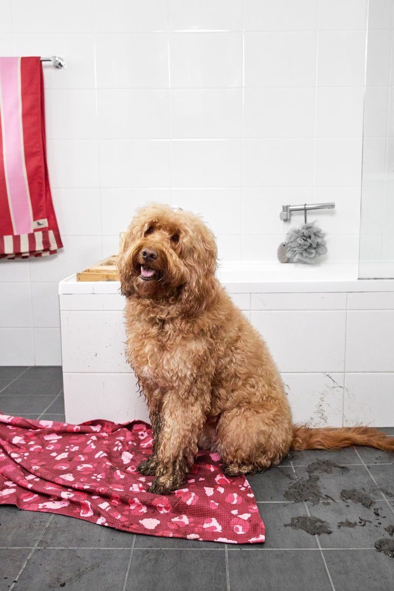 Dock & Bay Hundehandtuch M Pink Paws 90x50cm - Produktbild 11