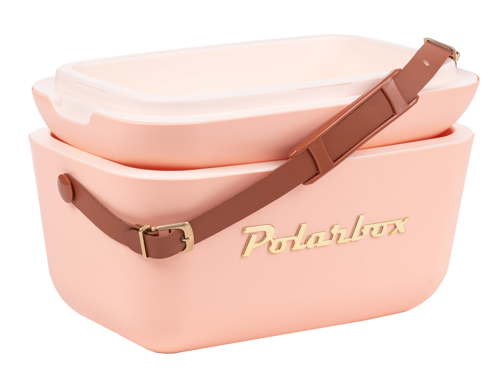 Polarbox Gold Coral 12l Freisteller 4