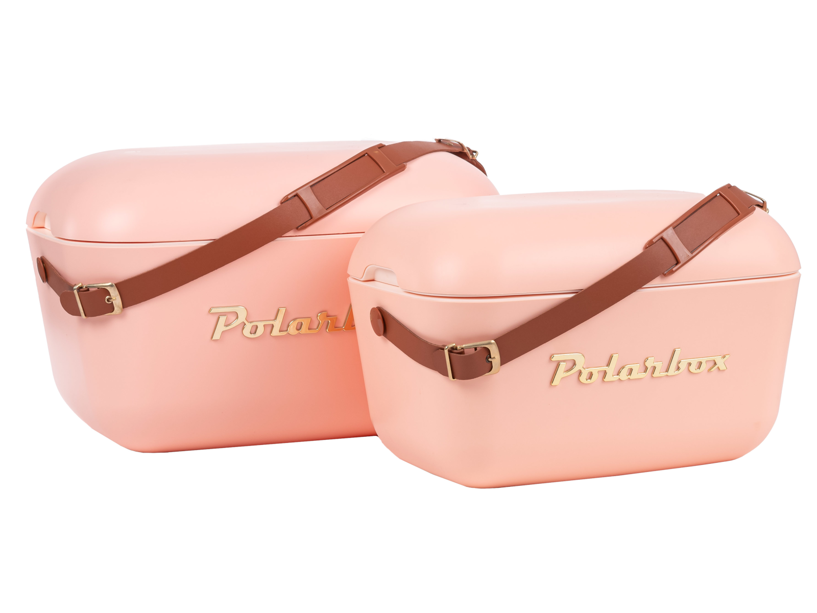 Polarbox Gold Coral 12l Freisteller 5