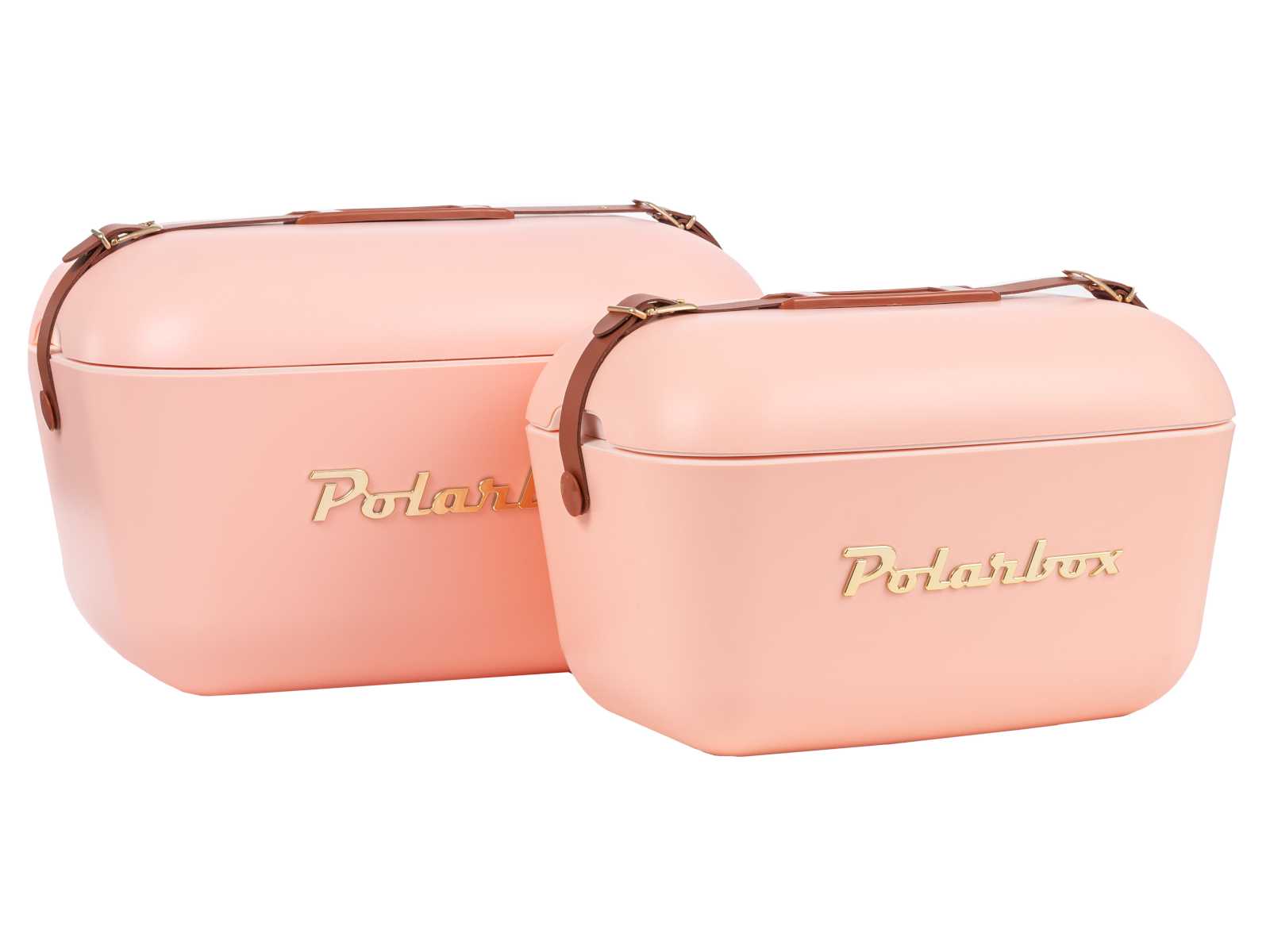 Polarbox Gold Coral 12l Freisteller 2