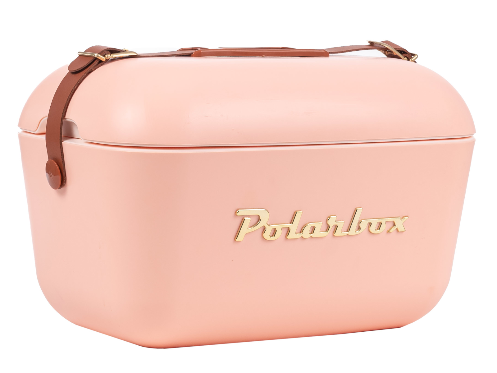 Polarbox Gold Coral 12l Freisteller 1