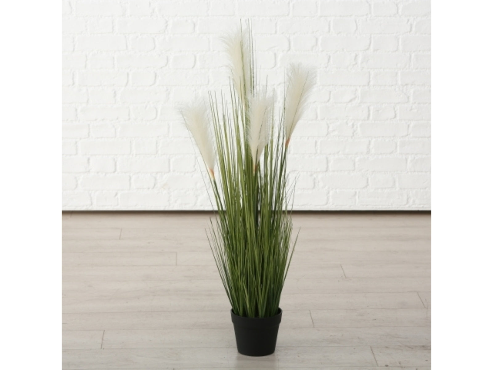 Boltze Topfplanze Pampasgrass 100 cm Lifestyle