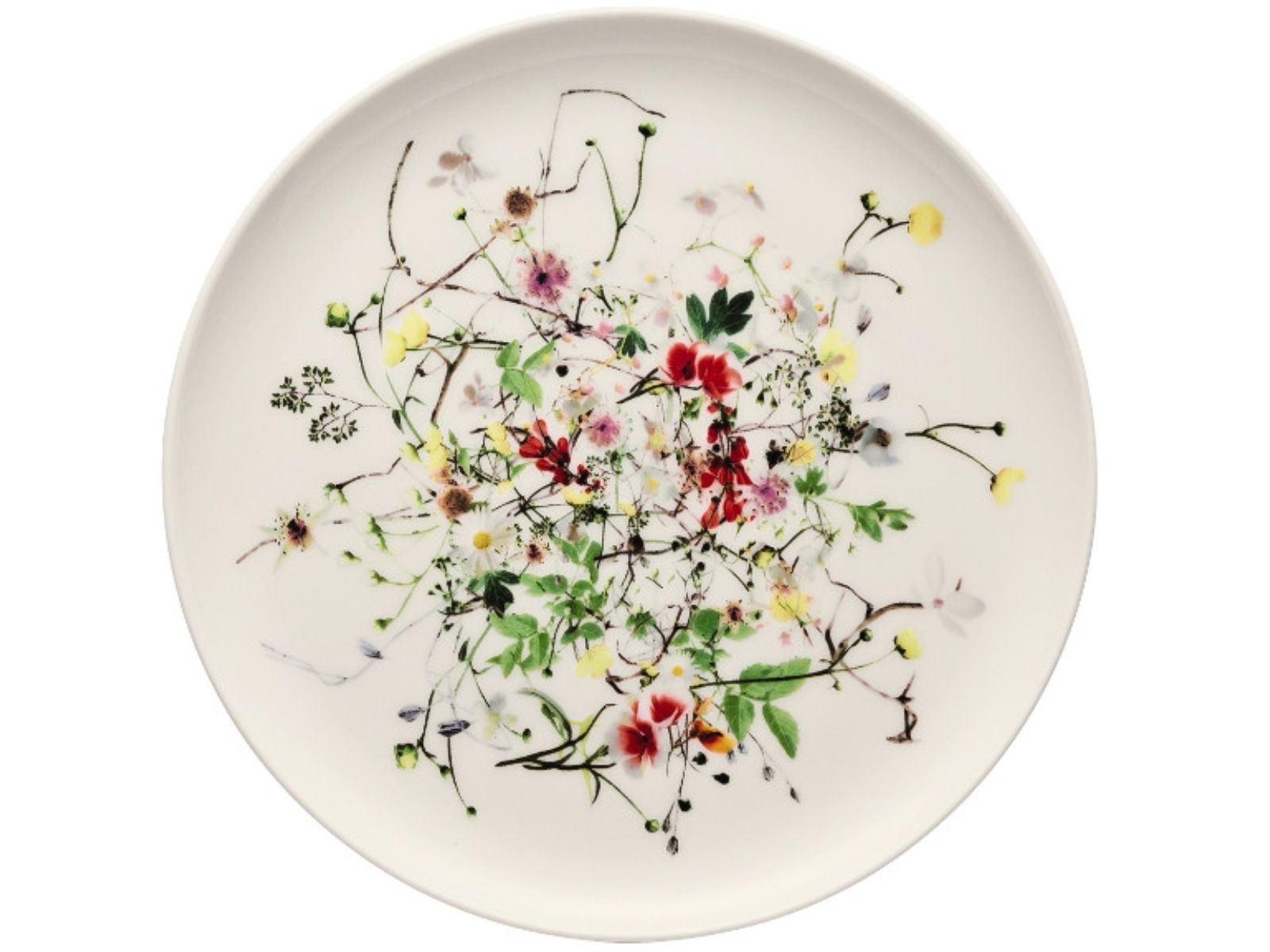 Rosenthal Brillance Fleurs Sauvages Brotteller 18 cm