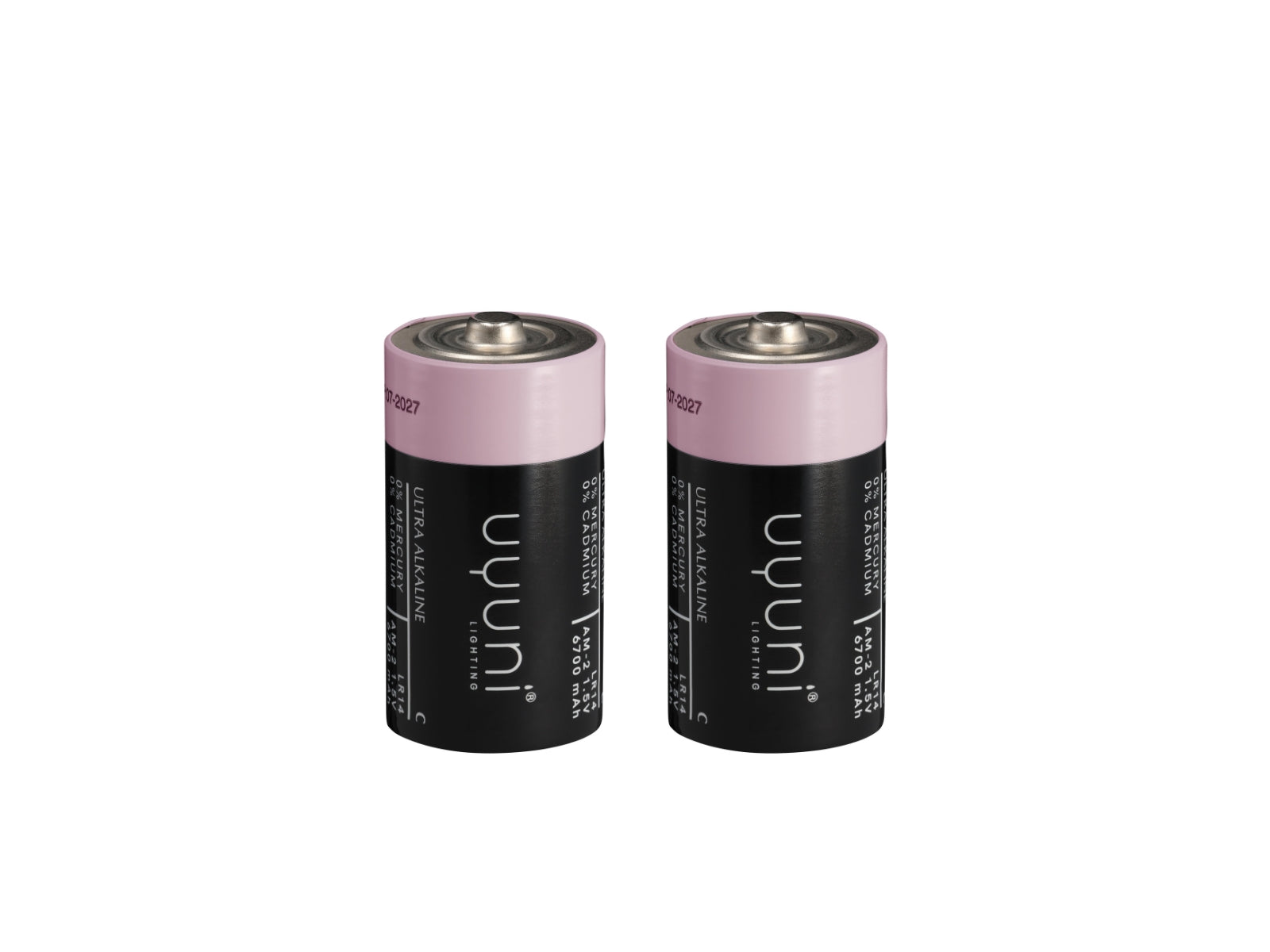 UYUNI LIGHTING Batterien C 1,5V 6700mAh 2erSet (1 Pack)