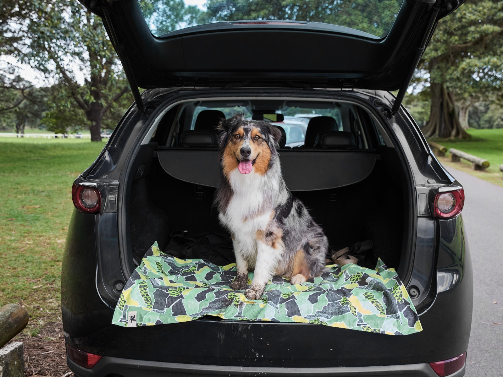 Dock & Bay Hundehandtuch M Undercover Walkies 90x50cm - Produktbild 11