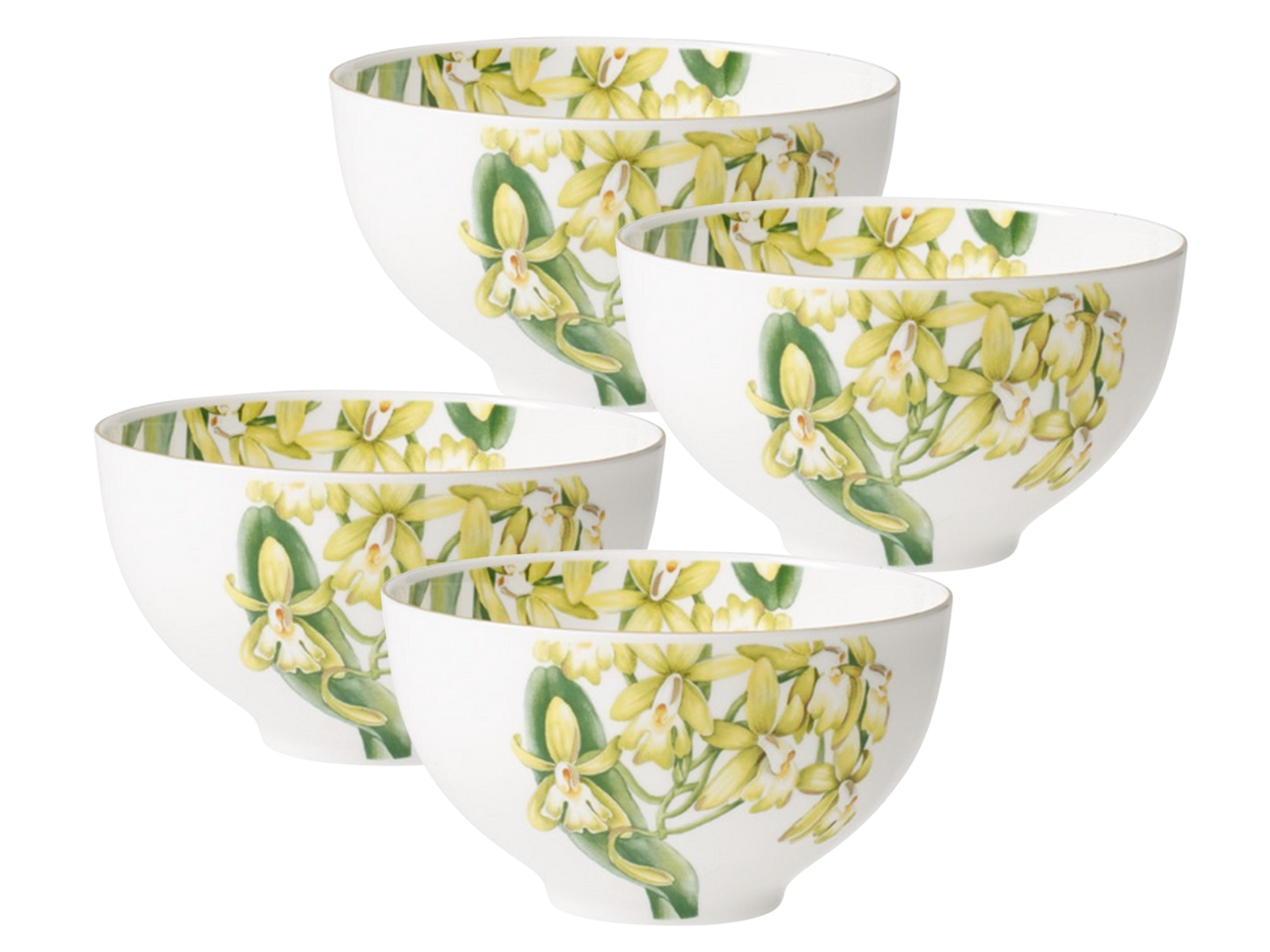 Villeroy & Boch Amazonia Bol 13 cm Set4