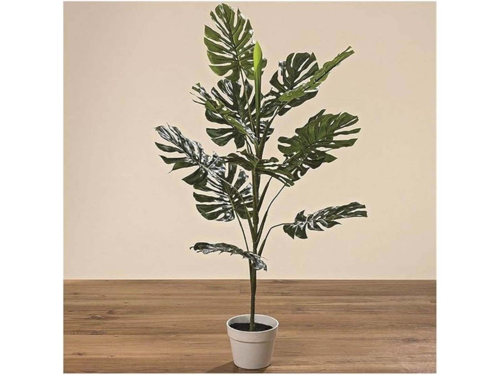 Boltze Philodendron im Topf grün 110 cm ( 1 Stück )