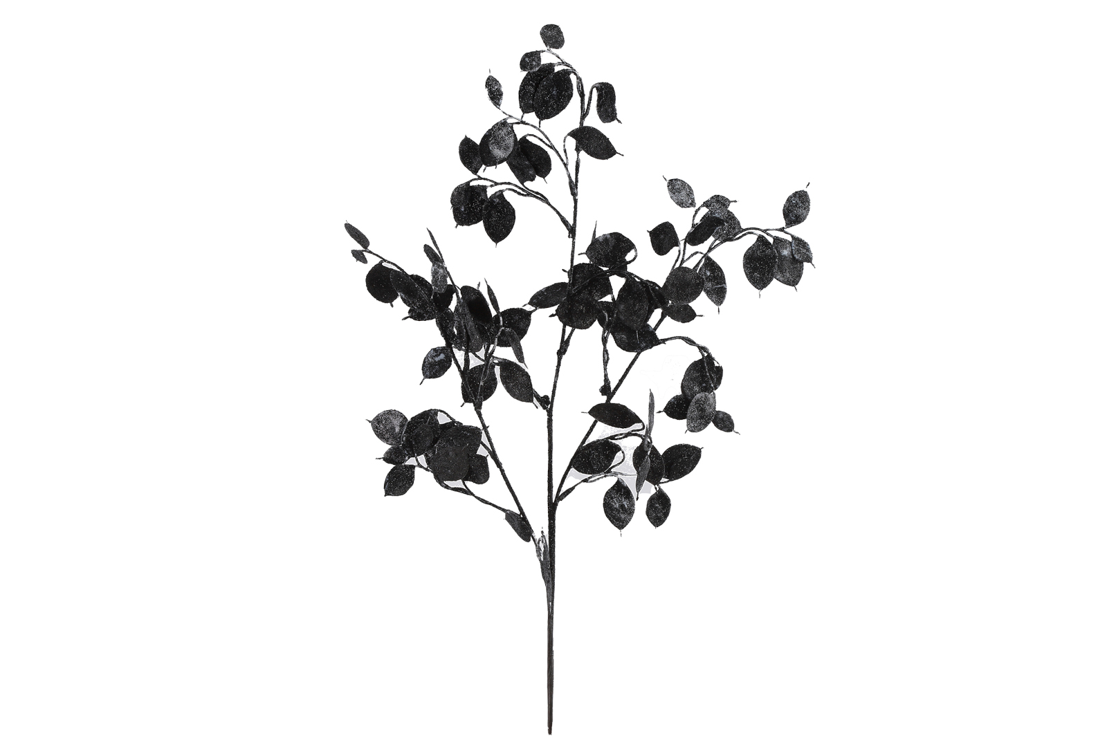 Decostar Dekozweig Lunaria schwarz 67cm Freisteller