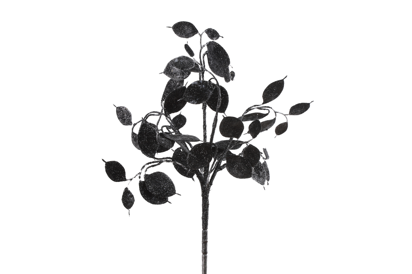 Decostar Dekozweig Lunaria schwarz 40cm Freisteller