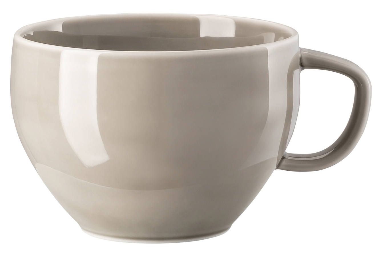 Rosenthal Junto Pearl Grey Cafe au Lait 2tlg.