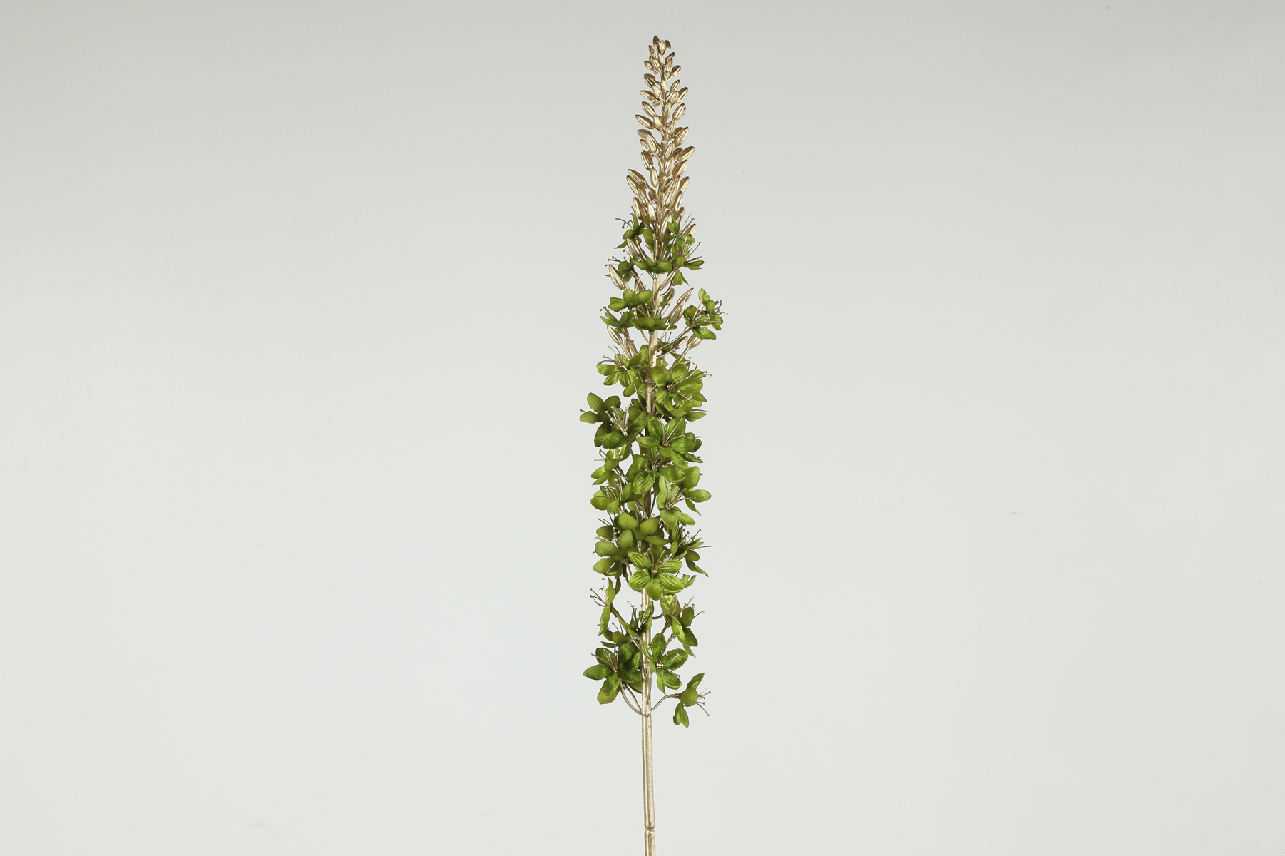 Decostar Dekozweig Eremurus grün 109cm