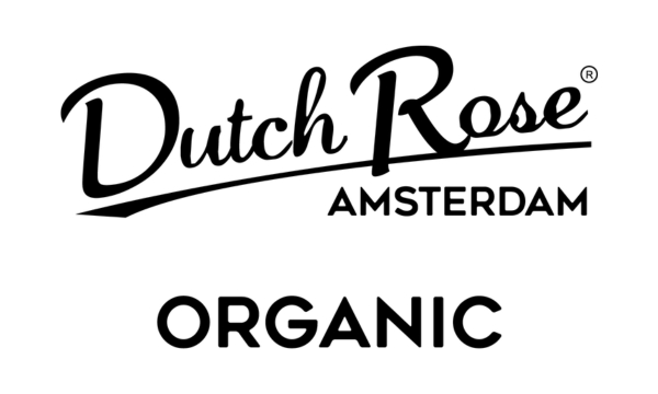 Dutch Rose Amsterdam