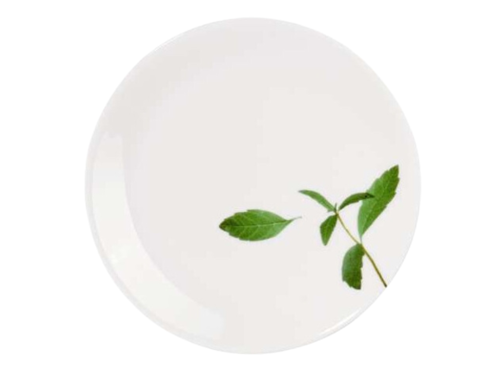 4024433340737 ASA à table leaves Dessertteller 14,5 cm2