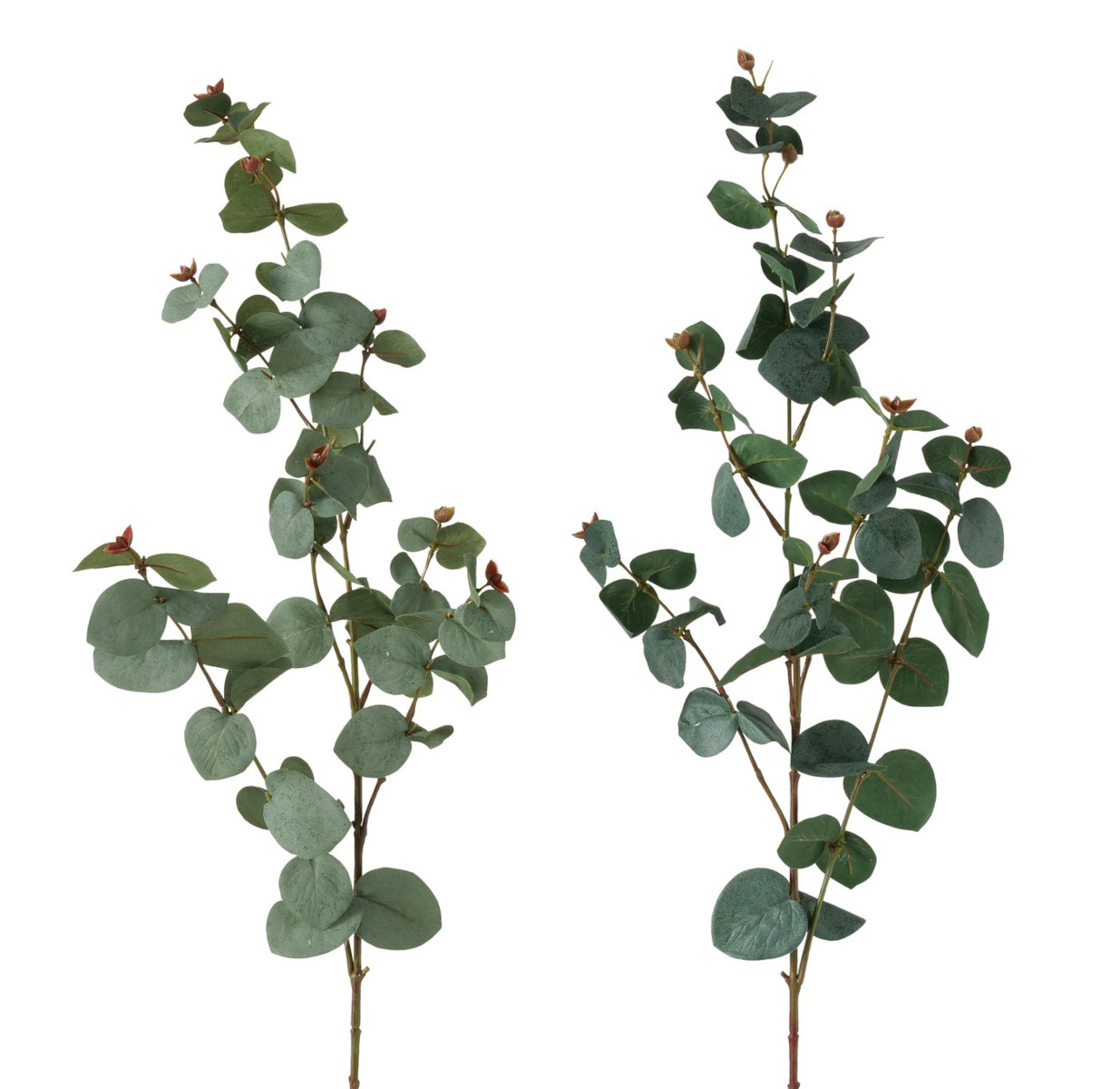 Boltze Dekozweig Eukalyptus grün 87cm sortiert (1 Stück)
