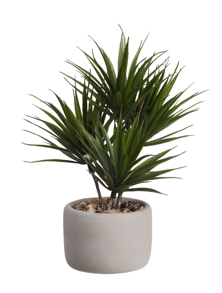 ASA Bonsai palme 24,5 x 17,5 x 24,5 cm